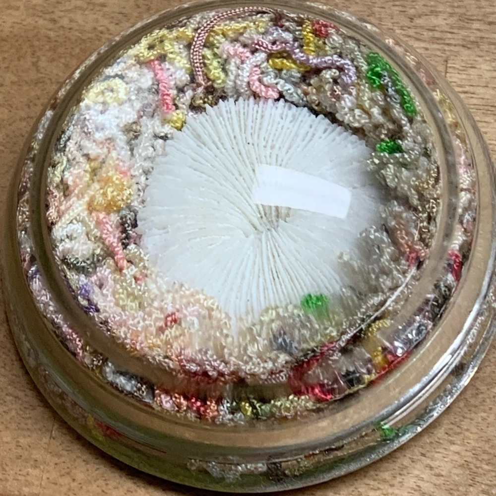 Vintage Acrylic Dome Paper Weight